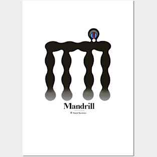 Bold monkey print "Mandrill" Posters and Art